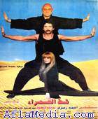 Le chat du Sahara - قط الصحراء