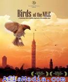 Les oiseaux du Nile - عصافير النيل