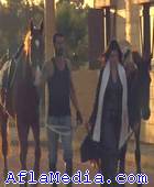 Les oiseaux reviennent  toujours - الطيور تعود دوما